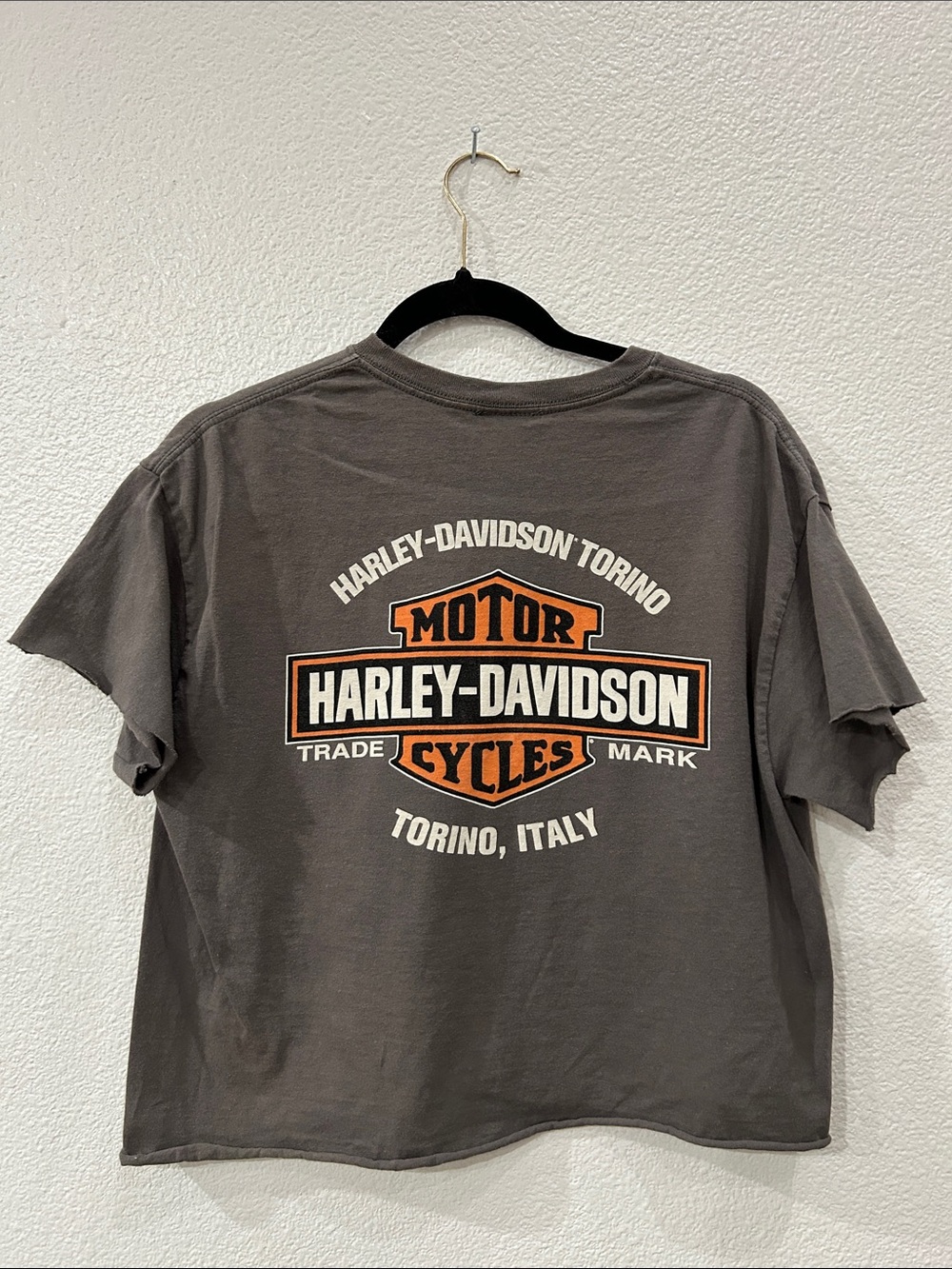 Harley-Davidson Graphic Crop Tee in Charcoal with Gold Accents - Picture 7 of 9